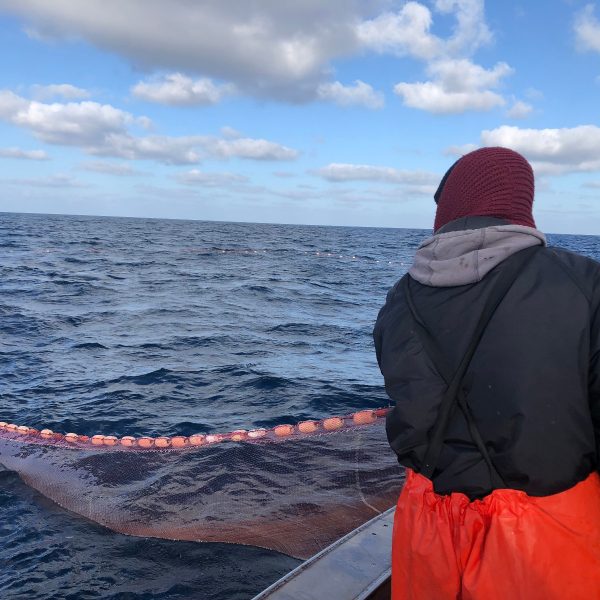 Immagine WhatsApp 2024-01-31 ore 09.01.06_200b768f