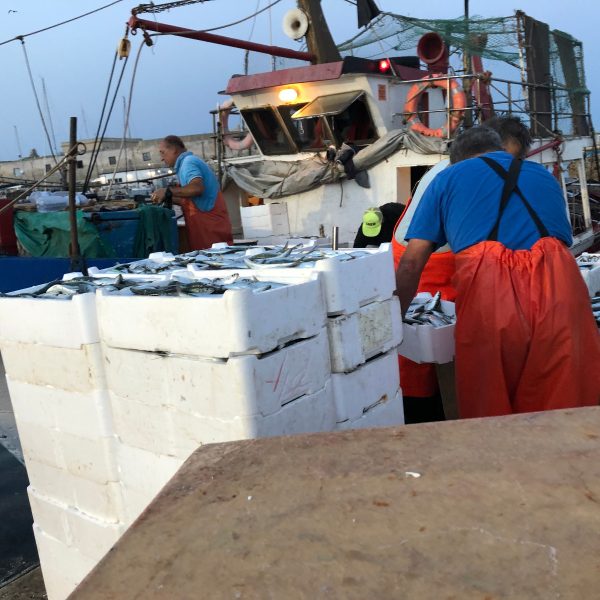 Immagine WhatsApp 2024-01-31 ore 09.01.06_faf195e2